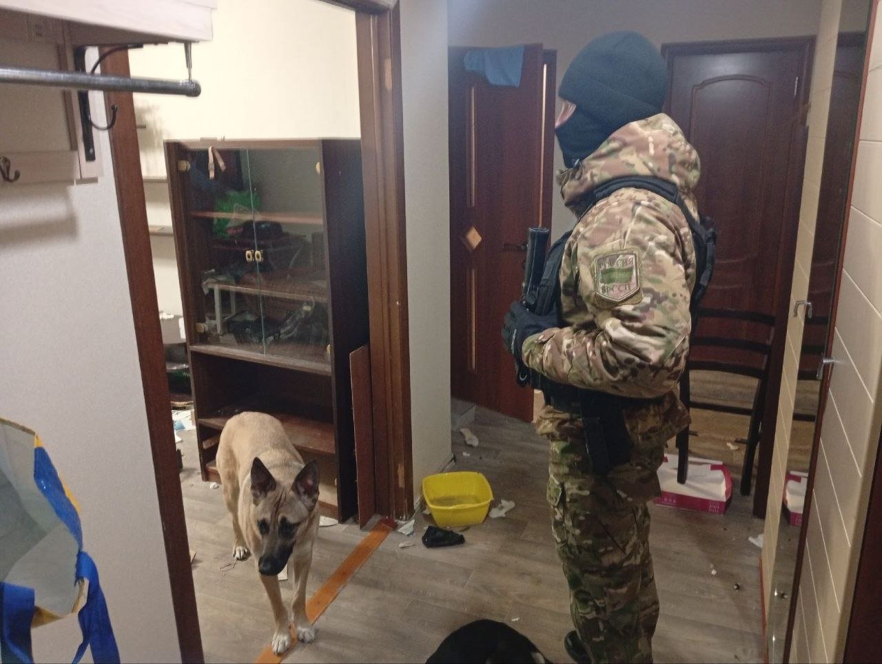 Назло бывшему: в Иркутске из квартиры выселили женщину с собаками и кучами хлама