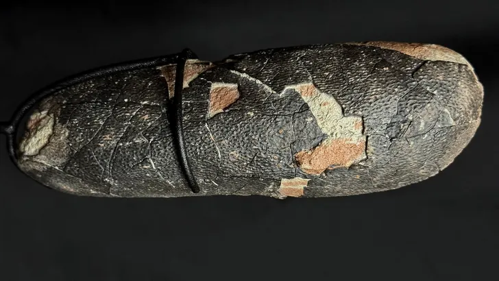 В Иркутск приехало яйцо динозавра возрастом 89 миллионов лет