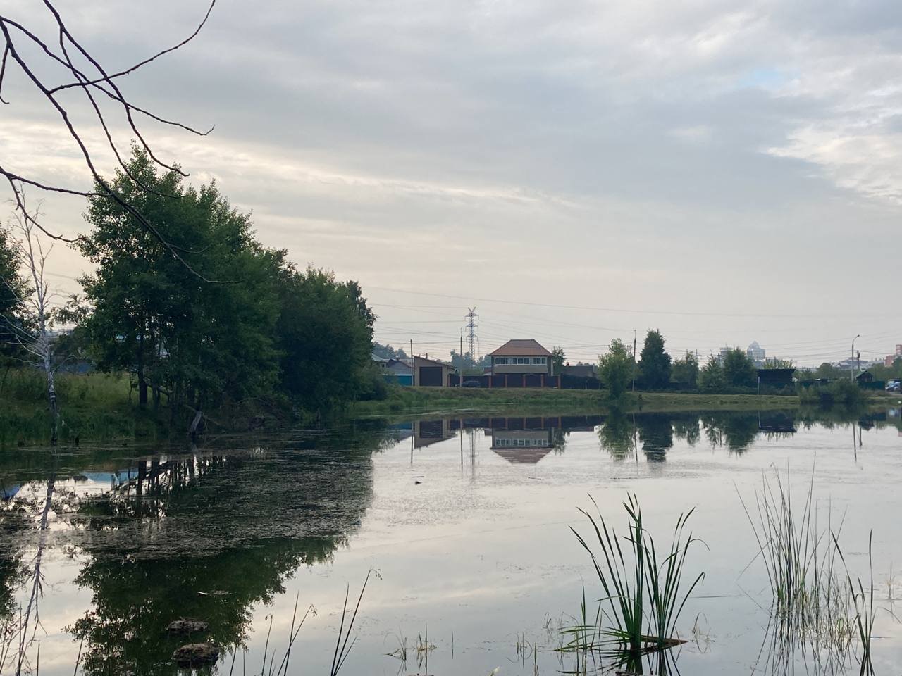 Огромного карася создадут в Иркутске