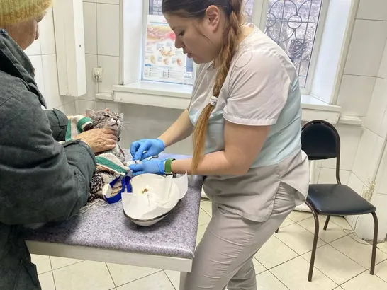 Усольчанка постирала кота в машинке