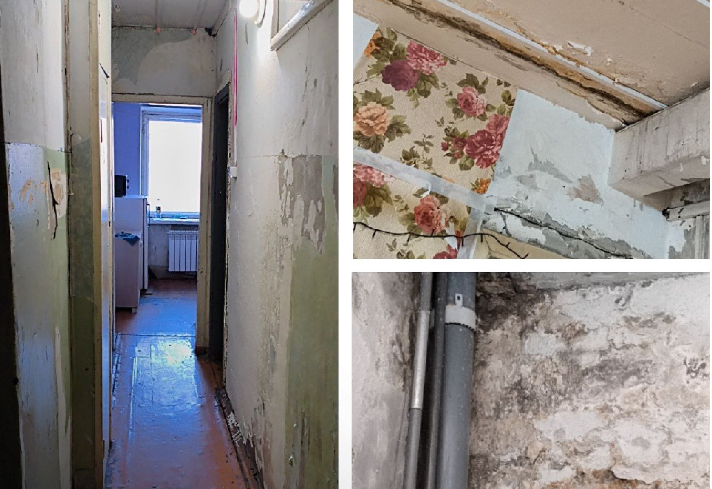 Прокуратура проверит условия в общежитии студентов ВГИК