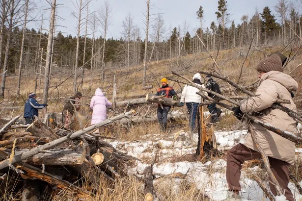 Почти четыре гектара горельника расчистили волонтеры на берегу Байкала