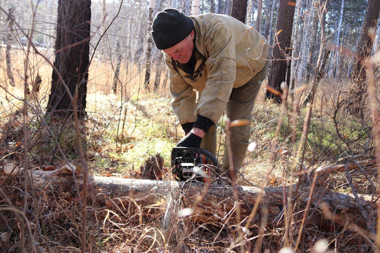 Участники СВО и их семьи будут покупать древесину вне очереди