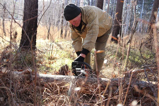 Участники СВО и их семьи будут покупать древесину вне очереди