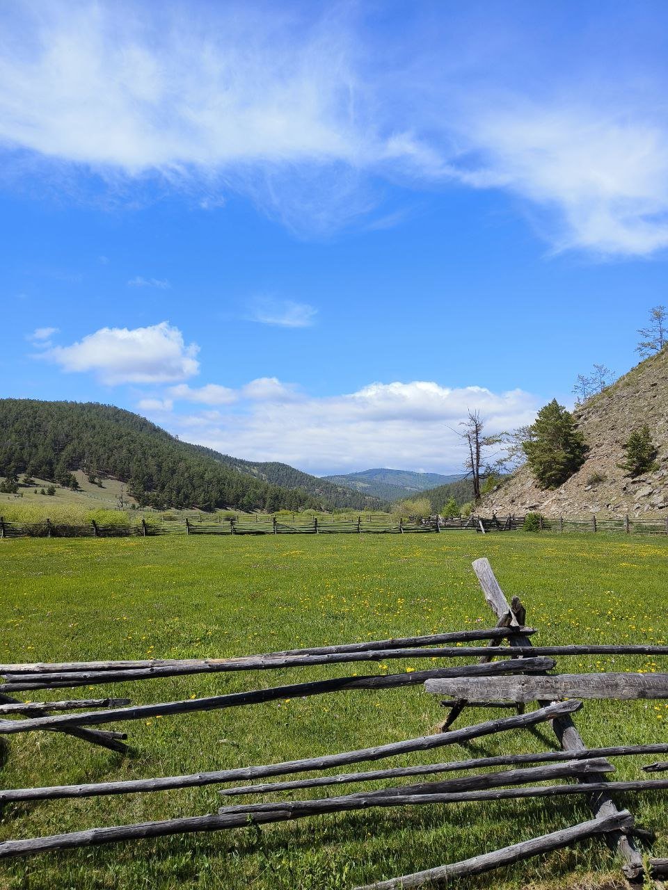 photo_2025-05-27_14-07-13