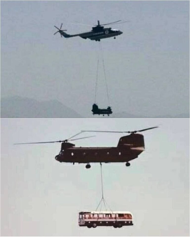 photo_2025-06-02_11-32-42-768x960