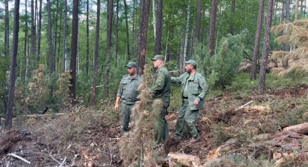 photo_2025-07-28_15-04-43-1024x557