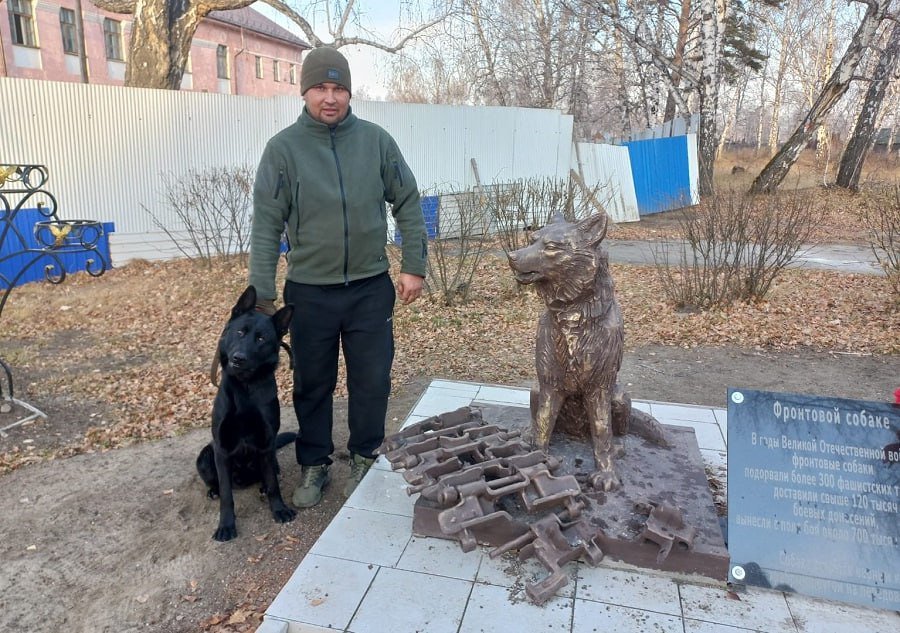 Овчарка Донбасс из Приангарья вышла в финал международной премии обойдя Колбаску