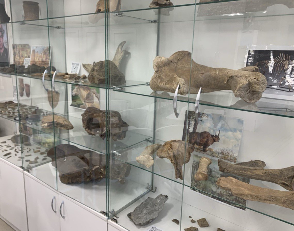 Останки древних животных