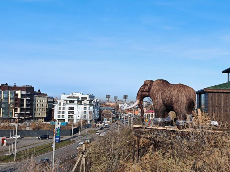Мамонт в центре Иркутска