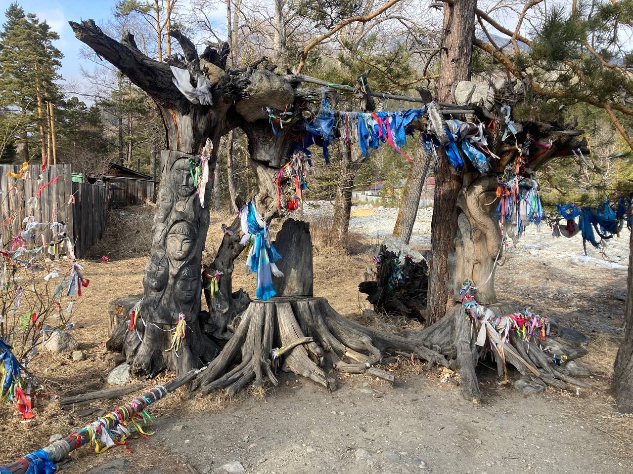 photo_2025-11-03 15.56.13