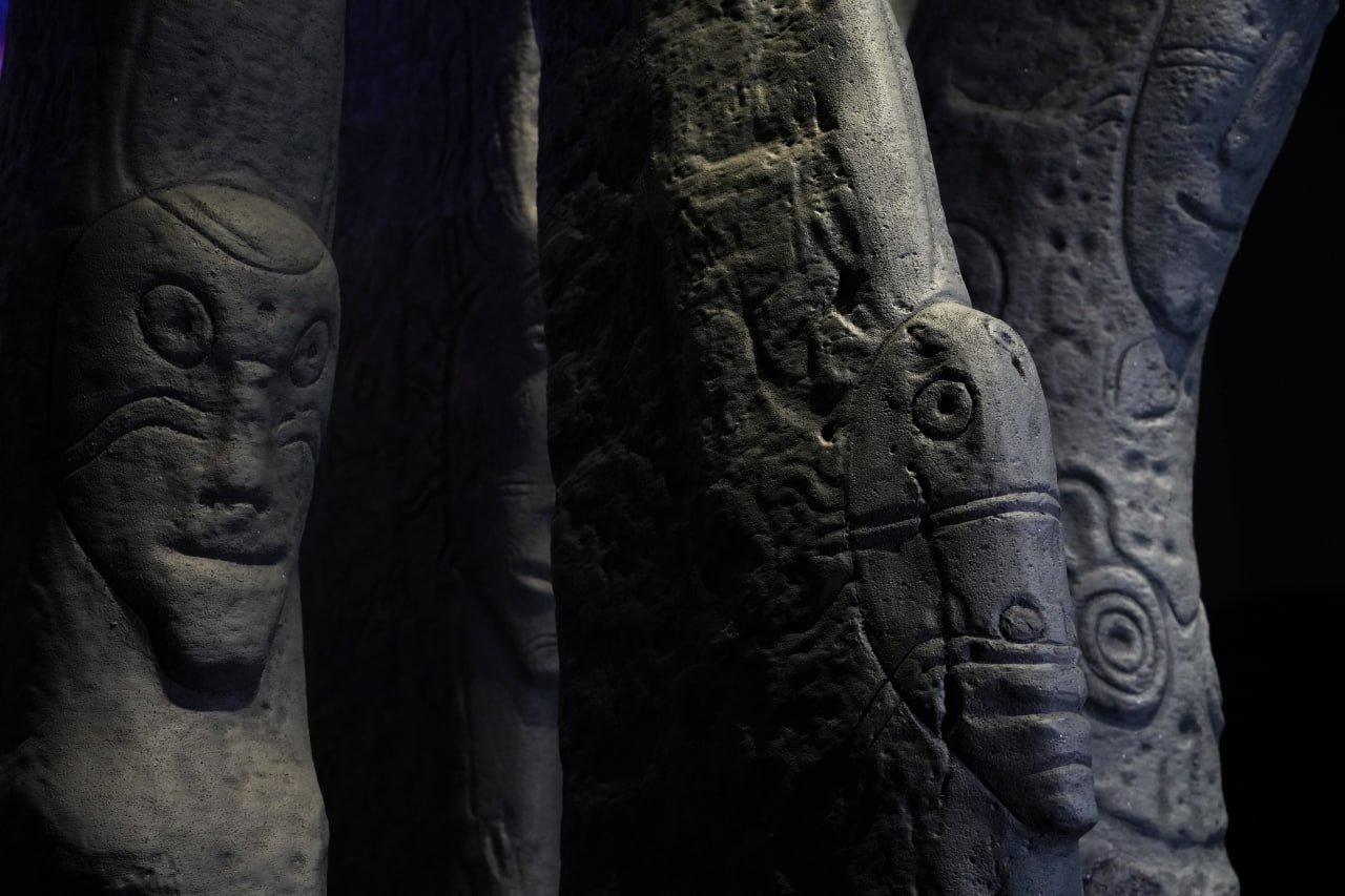 photo_2025-11-13_19-56-20