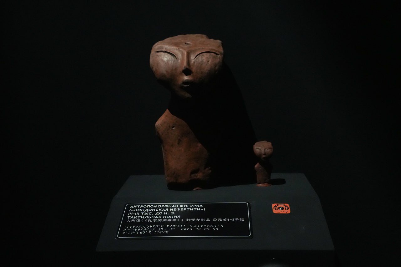 photo_2025-11-13_19-56-22