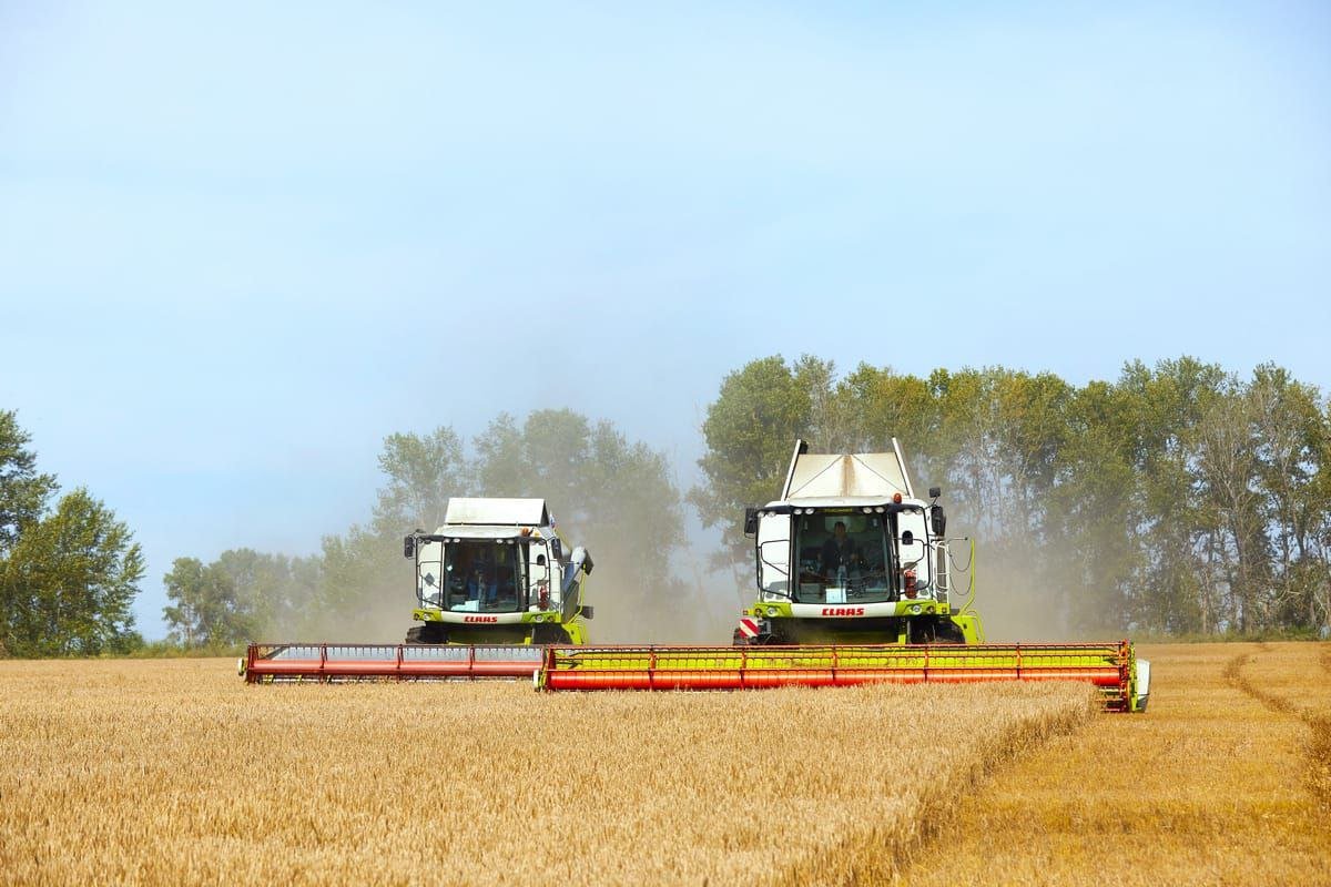 Опасные пестициды нашли в овощах и зерне в Иркутской области