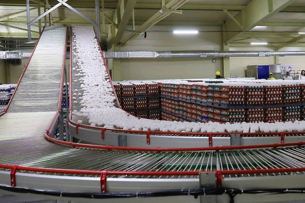 Цены на некоторые продукты местного производства закрепили в Иркутской области