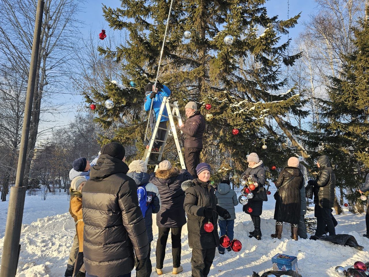 Более тысячи новогодних шаров украсили ели в Лисихинском парке Иркутска