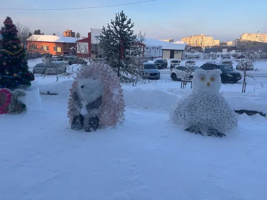 Бизнесмен из Усть-Илимска заплатит за лед