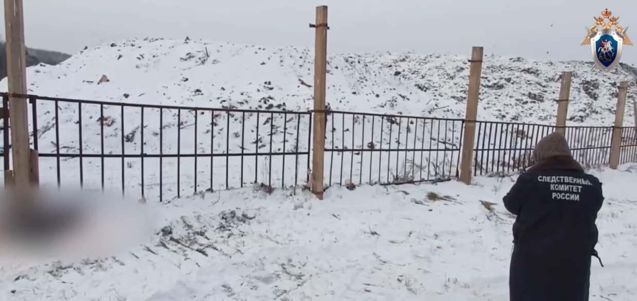 Бездомными собаками в Иркутске займется Бастрыкин