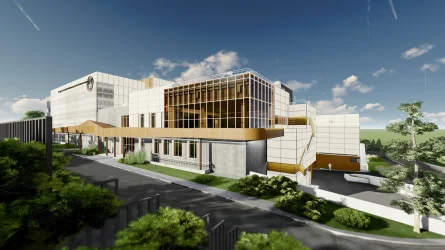 Жители Академгородка вновь выступили против вырубки деревьев для строительства