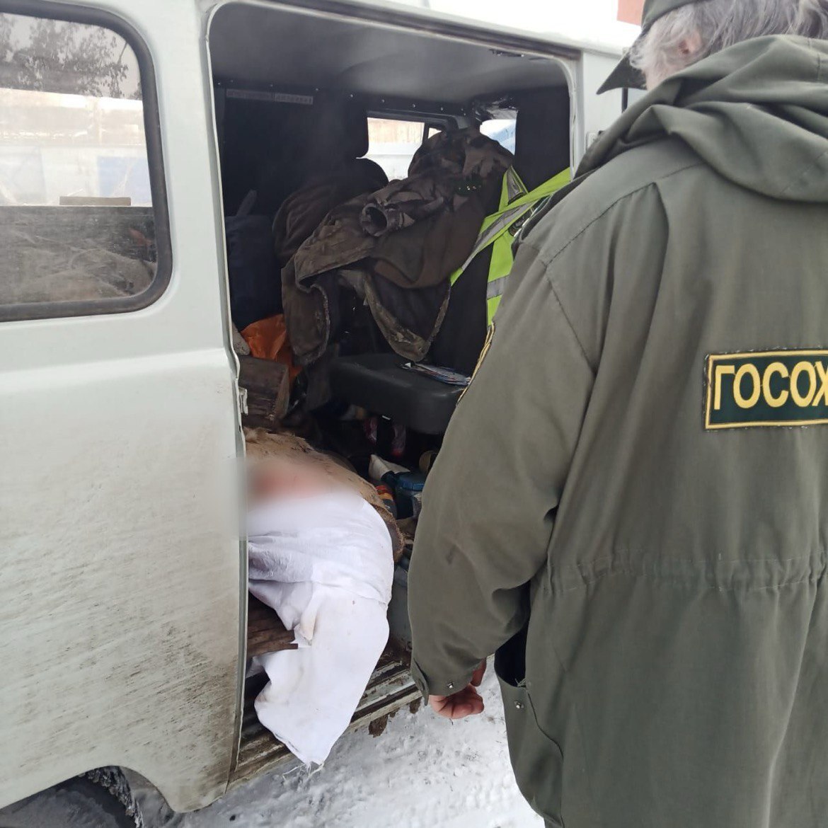 Стая бродячих собак напала на косулю в Ангарске