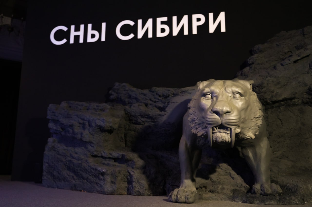 В Иркутске покажут знаменитых мальтинских венер в рамках проекта «Сны Сибири»