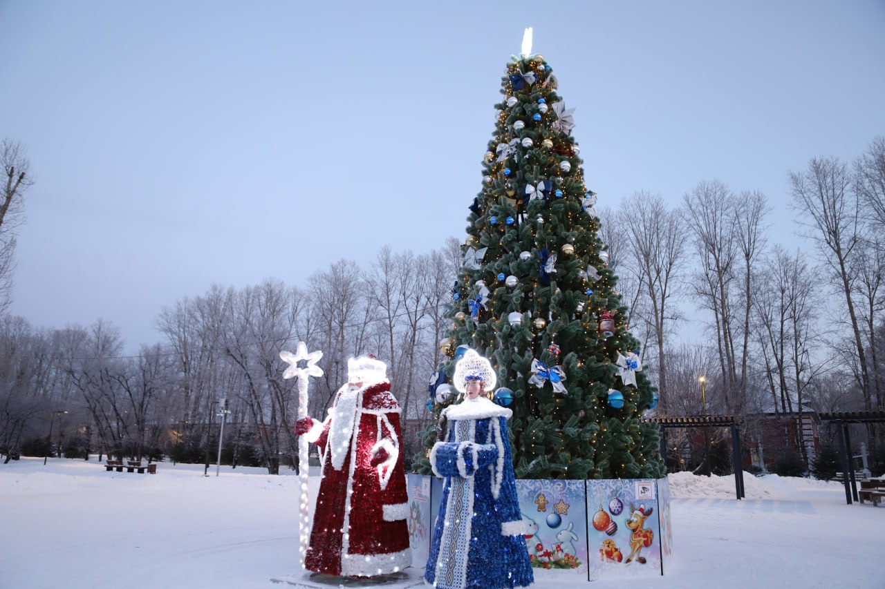 Елка из Иркутска поборется за звание лучшей на всероссийском уровне