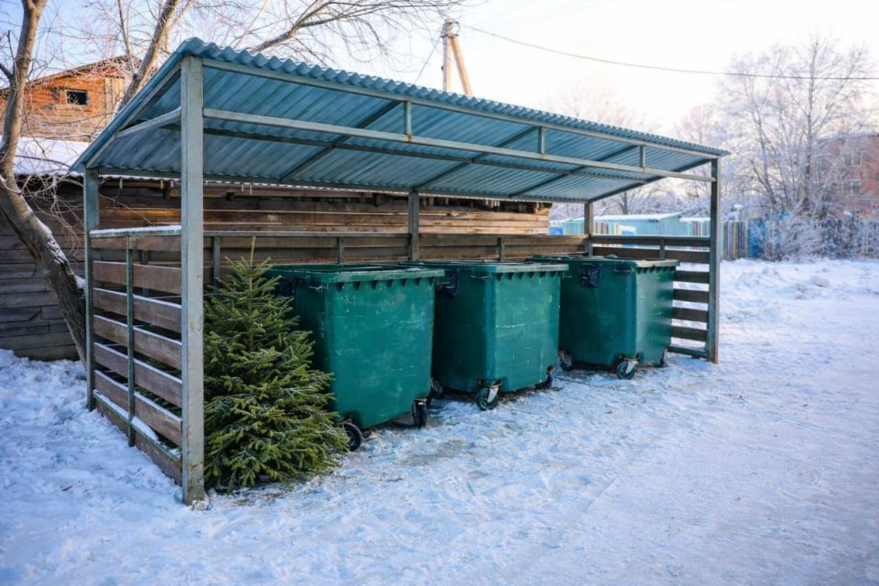 Как правильно утилизировать ёлку после Нового года: инструкция для жителей Иркутска